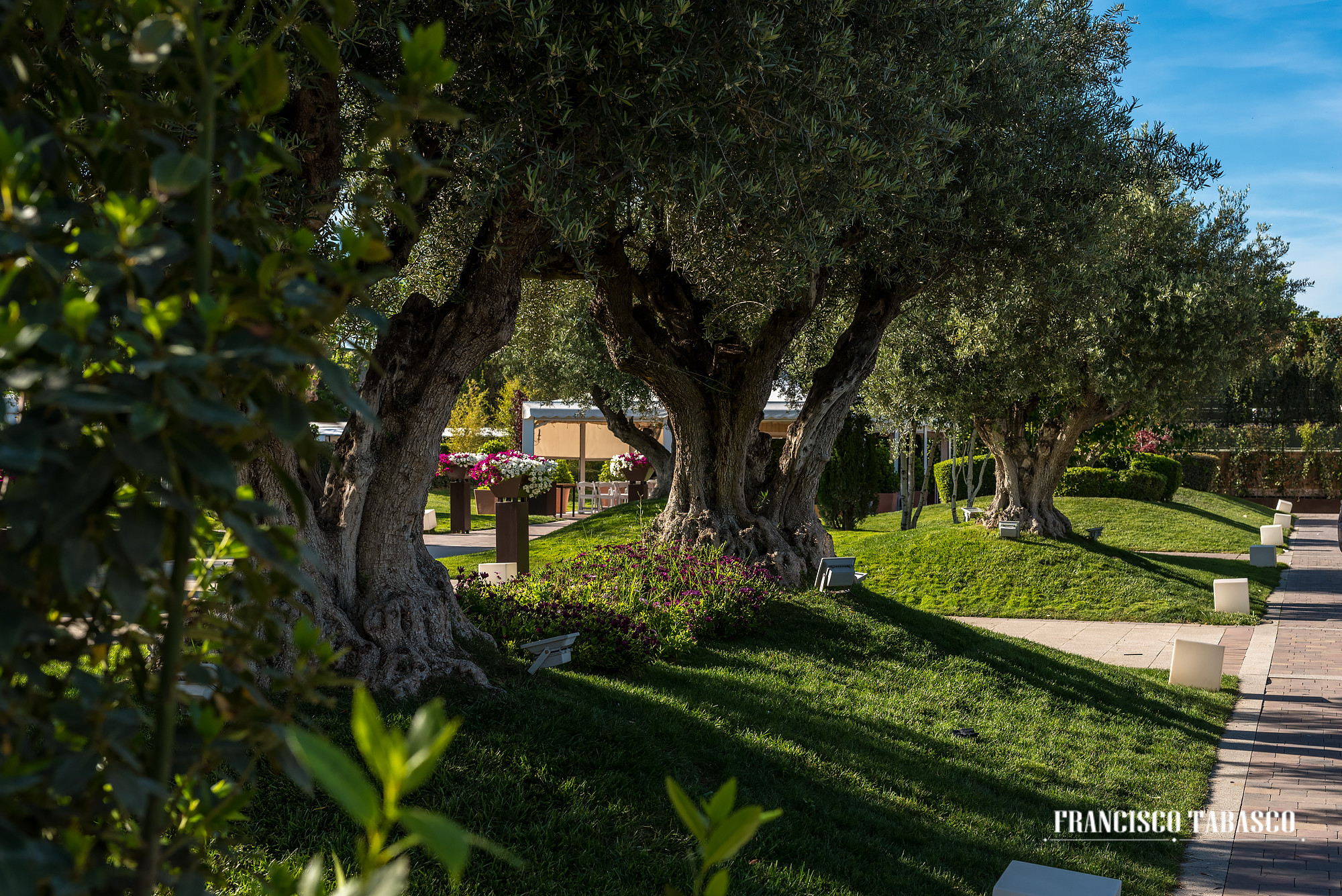 Finca_de_bodas_Solimpar_3