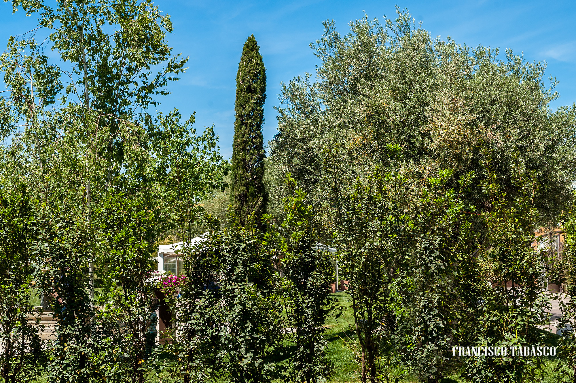 Finca_de_bodas_Solimpar_4