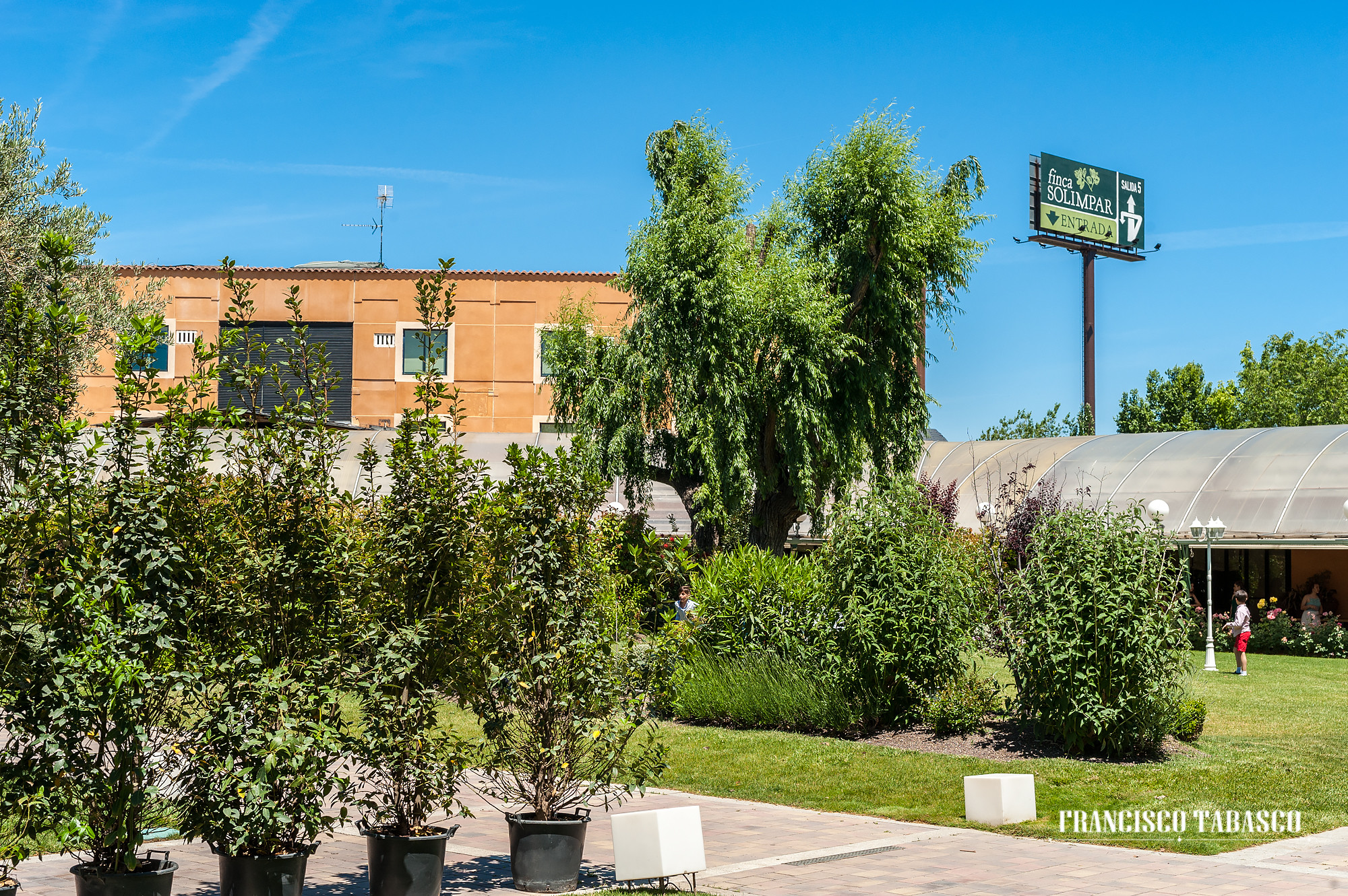 Finca_de_bodas_Solimpar_5