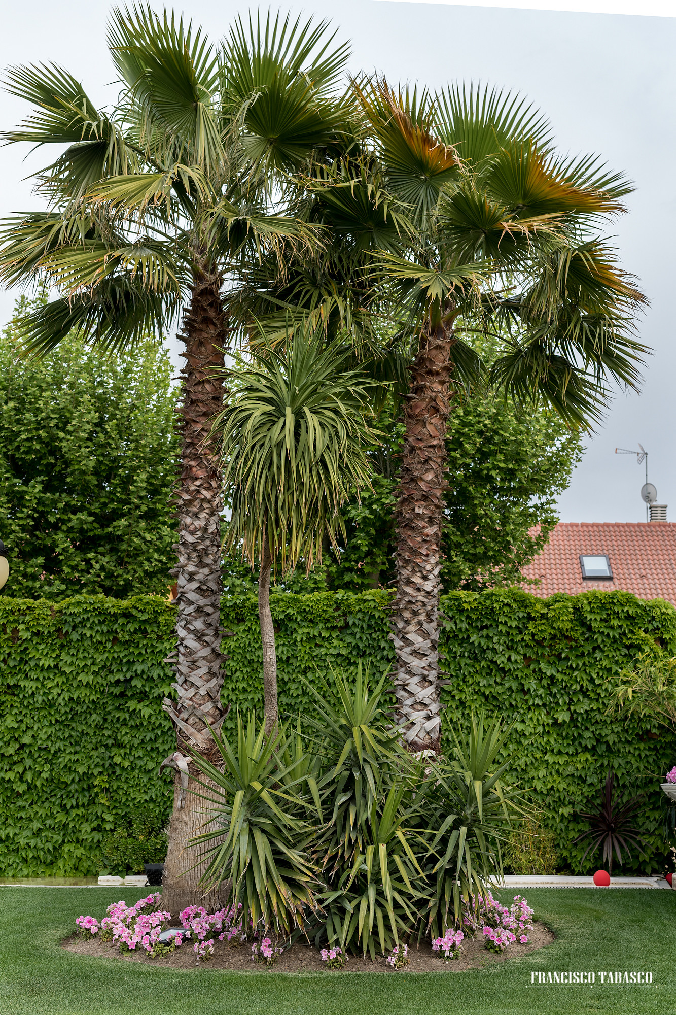 Finca_la_romanée_bodas_eventos_griñon_08