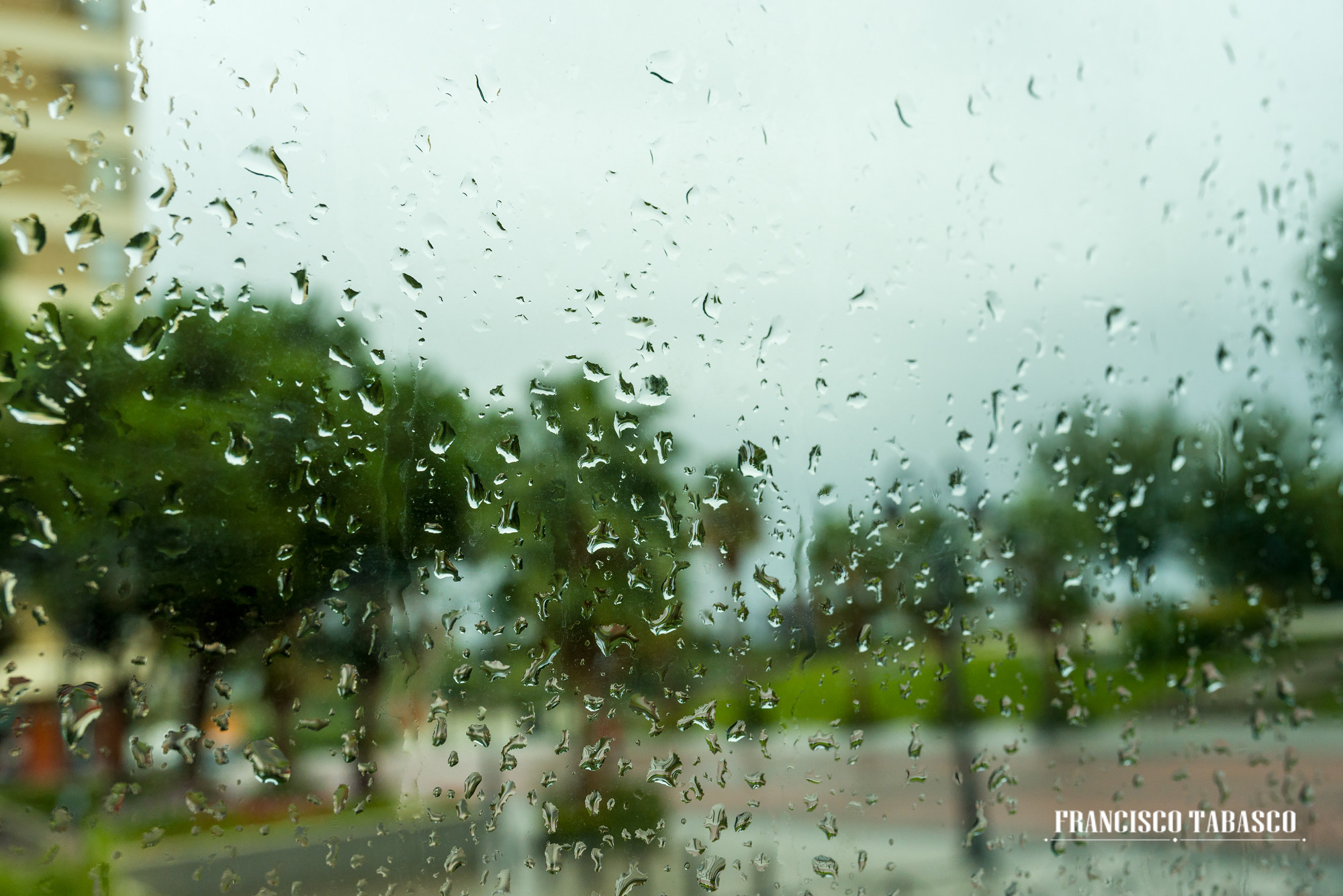 Boda_Finca_la_Cervalera_Tarancon_004