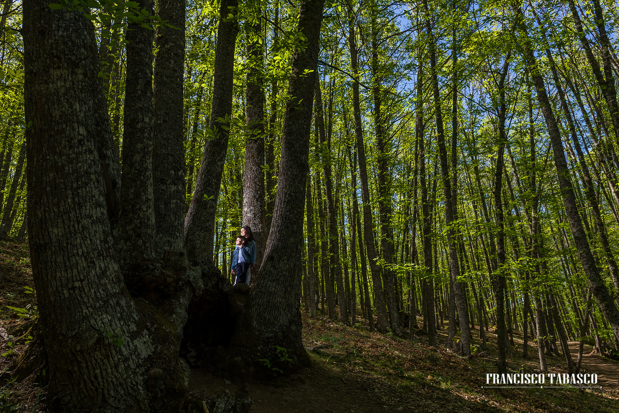 Comunión_Parque_de_Atracciones_de_Madrid_5