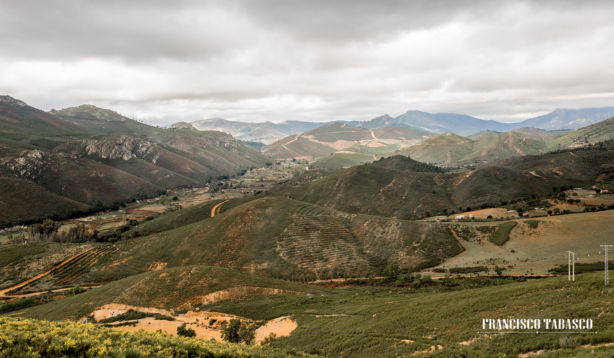 Bodegas Ruiz Torres_0000