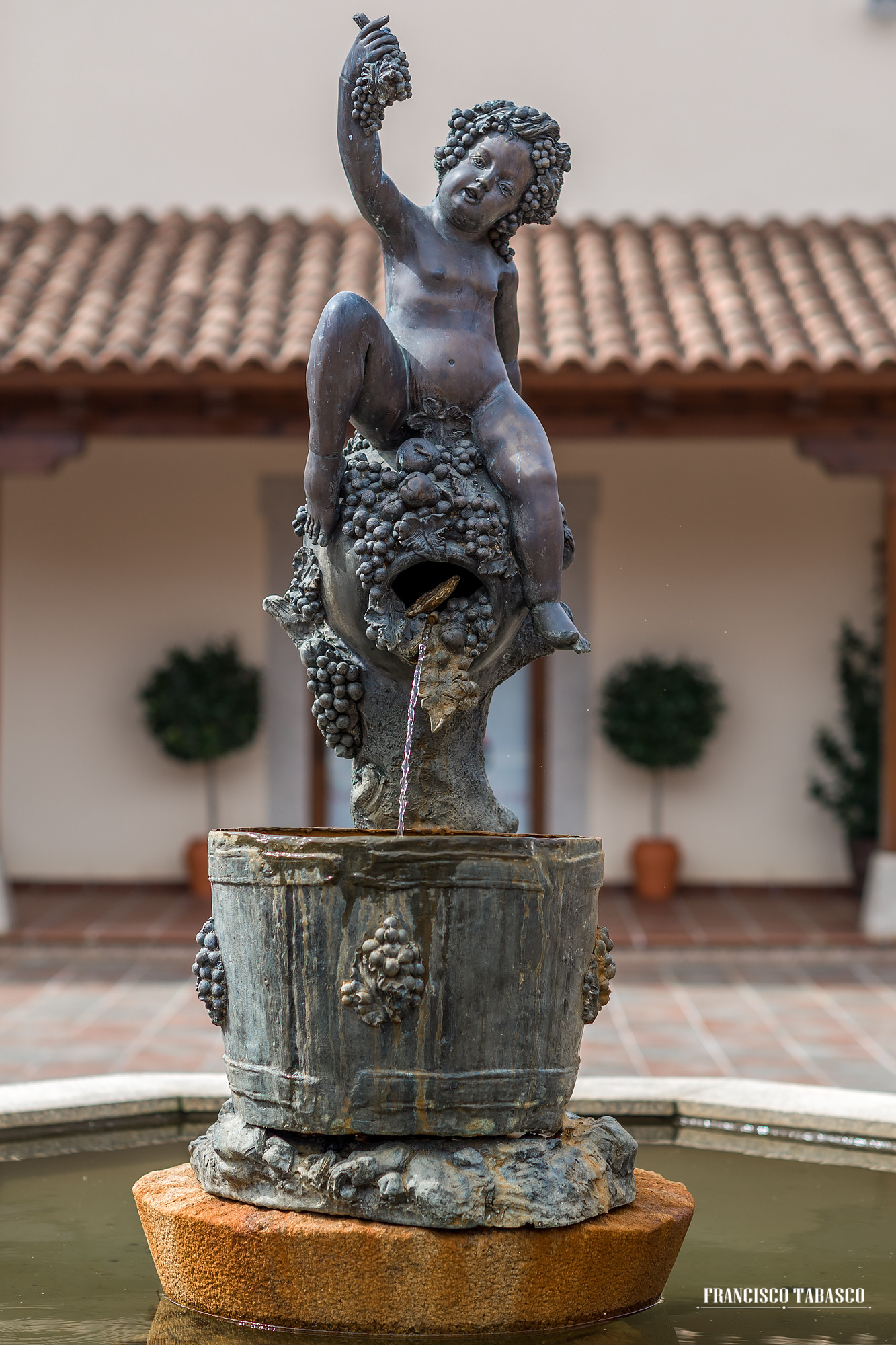 Bodegas Ruiz Torres 24-3-2016_0026